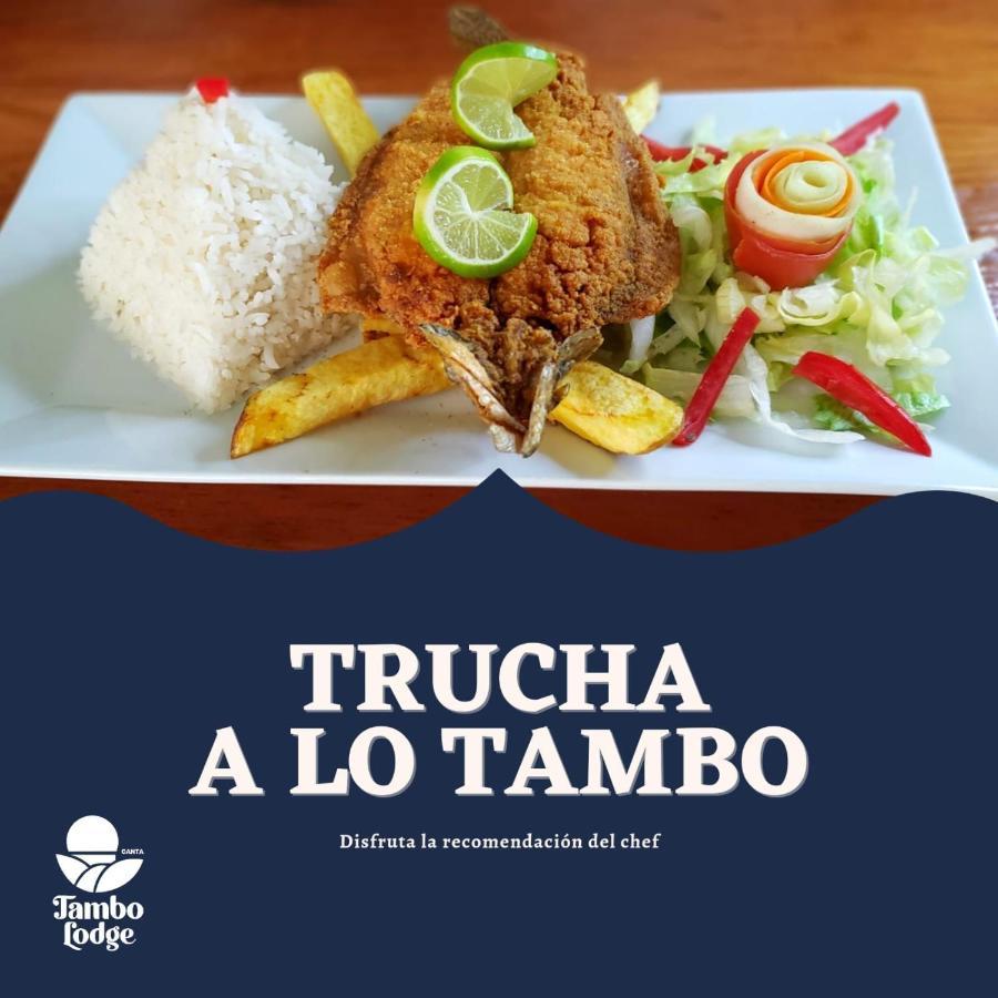 Tambo Lodge 칸타 외부 사진